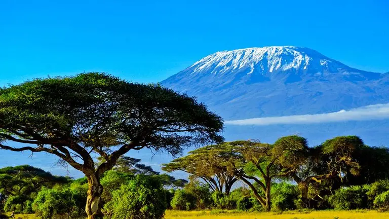 Kilimanjaro
