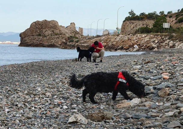 Playa Canina M&aacute;laga