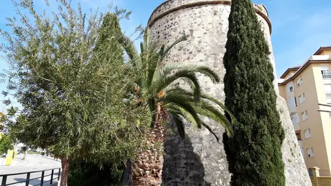 algarrobo torre vigia