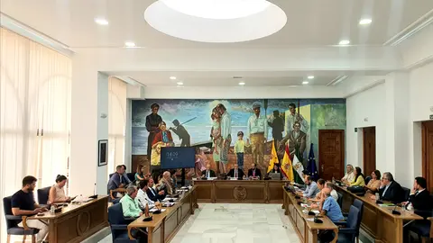 Pleno Ordinario Ayto Rincón de la Victoria