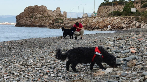 Playa Canina M&aacute;laga